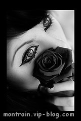  la mOrt, c'est la vie...